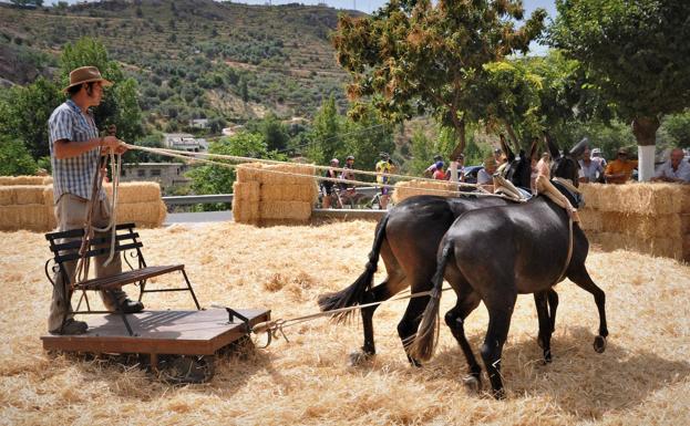 Lanjarón celebrará este fin de semana la Fiesta de la Parva en la era comunal del río