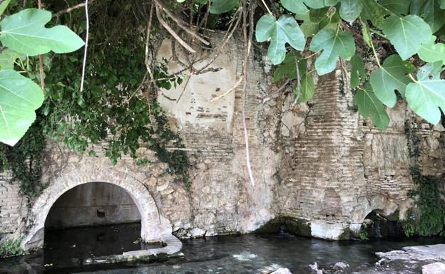 Entre el agua purificadora y los viejos mapas de ultramar