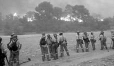 El Punto de Vigilancia de Tíscar, operativo por sentencia judicial