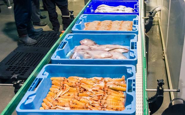 Diez millones más de presupuesto para ayudas que respaldan la transformación de productos pesqueros y acuícolas