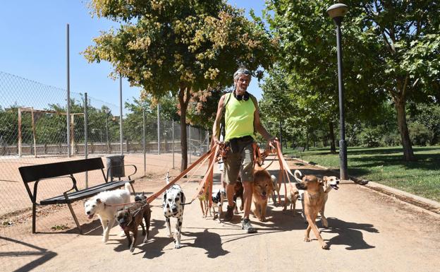 «Mucha gente ve a su perro como un león y en realidad tiene un gorrión»
