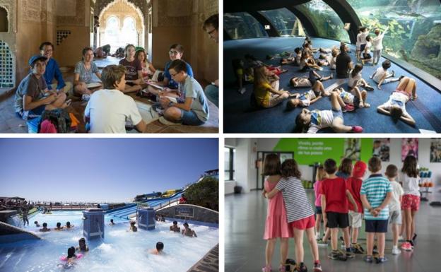 6 planes educativos y divertidos para que los más pequeños disfruten del verano en Granada