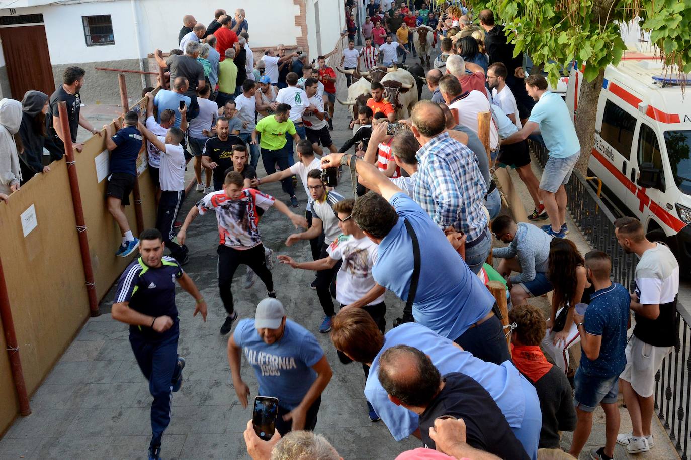 Gor corre el último encierro en las fiestas de San Cayetano 2019