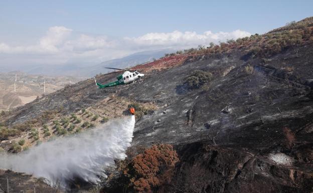 Controlado el incendio próximo a viviendas en Pinos del Valle