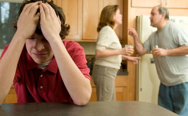 Almería cierra el semestre con más hijos de víctimas de violencia de género bajo terapia