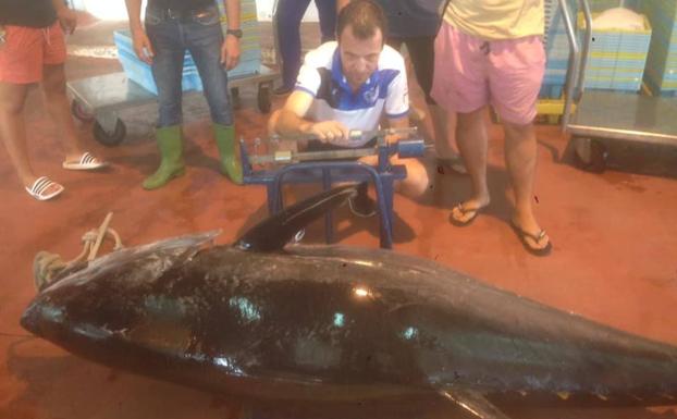 Los pescadores capturan un atún de 200 kilos en el cabo de Sacratif