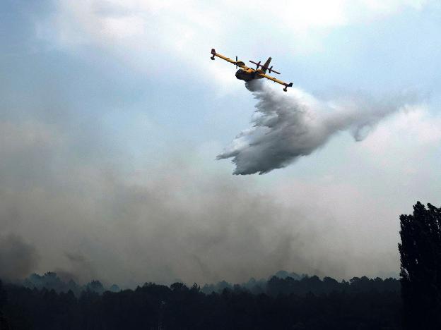 Un tercio del suelo quemado este año en Andalucía se perdió en el fuego de Terque