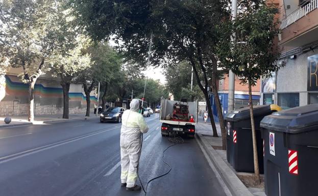 'Guerra' a una de las principales plagas que afectan a los árboles jienenses