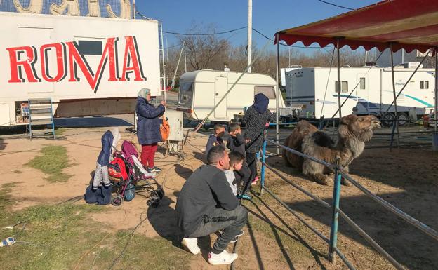 El Ayuntamiento de Almería prohibirá los circos con animales salvajes