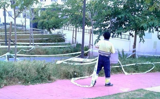 Segundo plan de desratización, en el Bulevar y el Parque de la Concordia