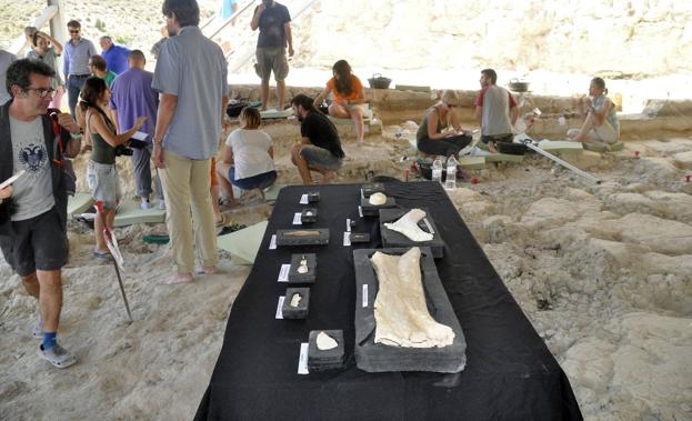 Aplazan el inicio de la segunda fase de excavaciones de Orce en Granada por cuestiones técnicas