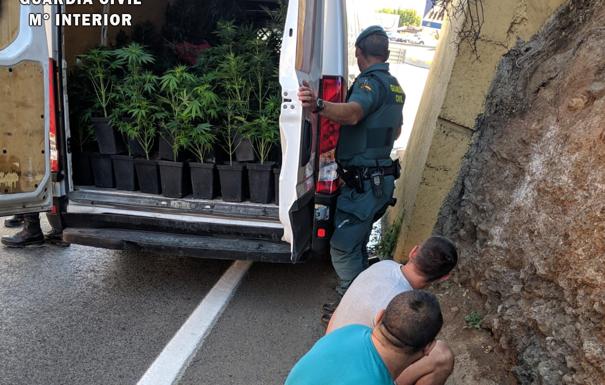 Tres individuos son soprendidos transportando 463 plantas de marihuana en una furgoneta en Dúrcal