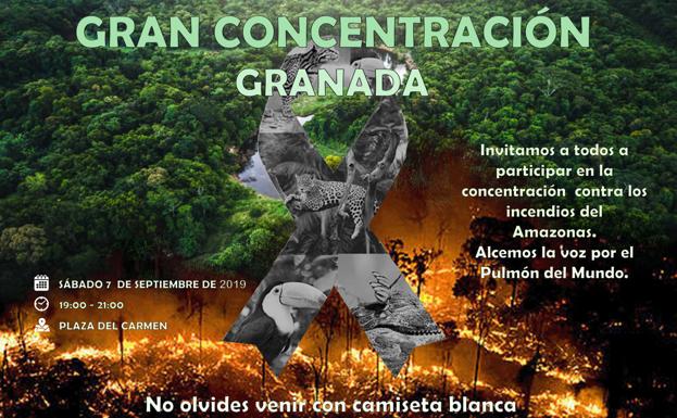 Bolivianos residentes en Granada convocan una concentración «por la Amazonia»