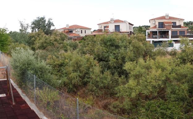 Las ramblas de la provincia de Granada se enfrentan a medio limpiar a las primeras tormentas