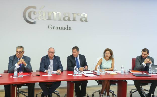 «Granada necesita fijar una estrategia de futuro y ahí va a ayudar la Cámara»
