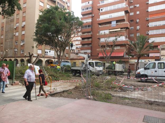 ¿Qué está pasando con los árboles de la calle Artés de Arcos?