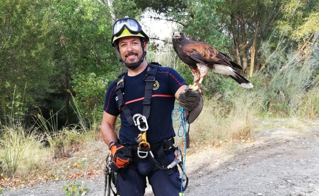 Los Bomberos de Granada rescatan a un águila que se quedó atrapada en un árbol