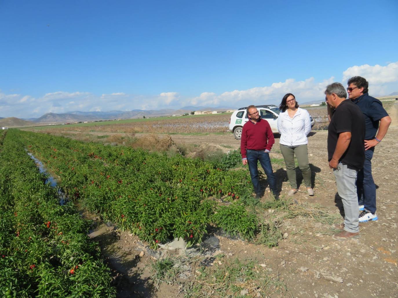 Cien kilómetros de caminos rurales dañados en Huéscar y 20.000 pollos muertos en Benamaurel