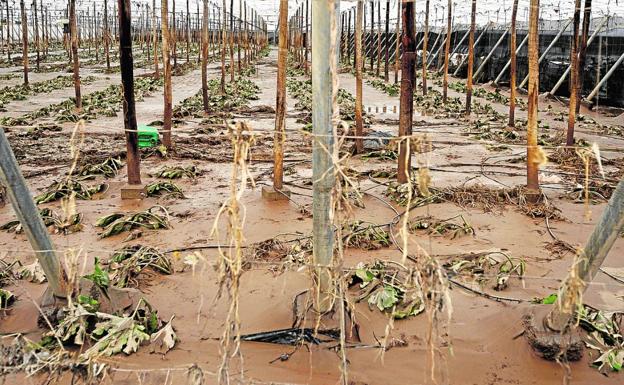 Bonificaciones del 95% en tributos para los afectados por el temporal