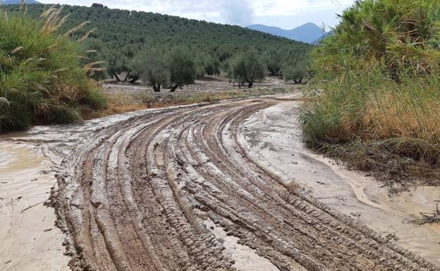 Critican que Jaén se haya quedado fuera de las ayudas del Estado por el temporal