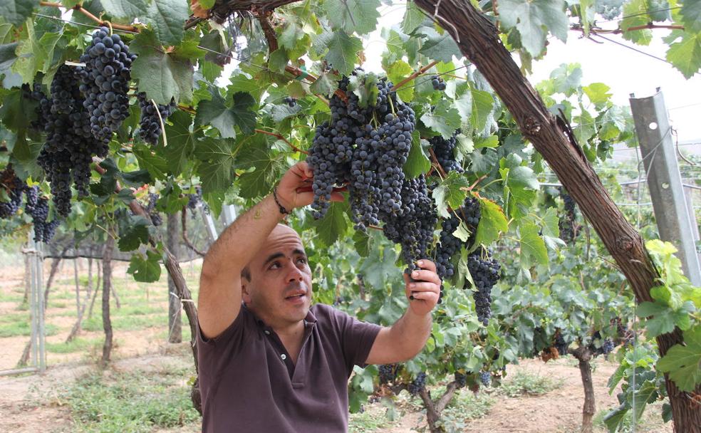 Padules se 'desangra'