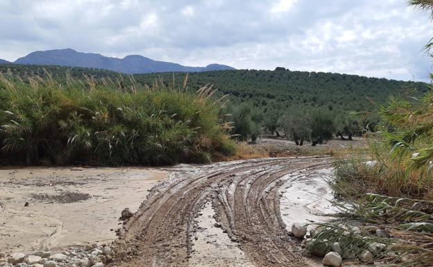 Actúan en medio centenar de vías afectadas por el temporal, desde Úbeda a Lopera, Mengíbar o Mancha Real