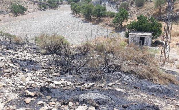 Toman declaración al presunto autor del incendio forestal del pasado julio en Morelábor