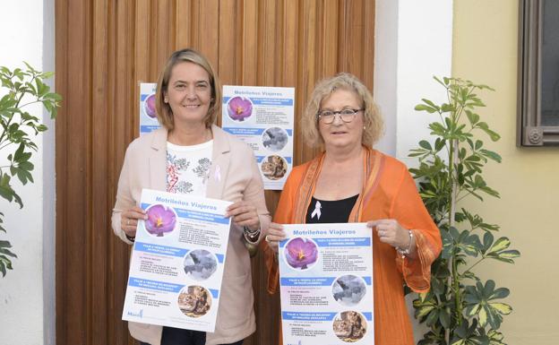 'Motrileños viajeros' vuelve con escapadas a Toledo, Almería y Málaga