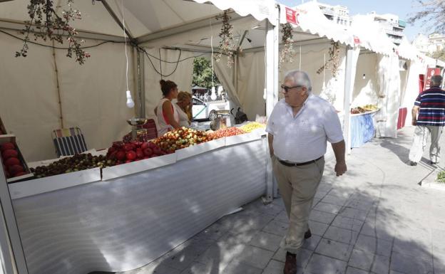 Las cinco noticias de Granada que debes conocer este domingo a mediodía