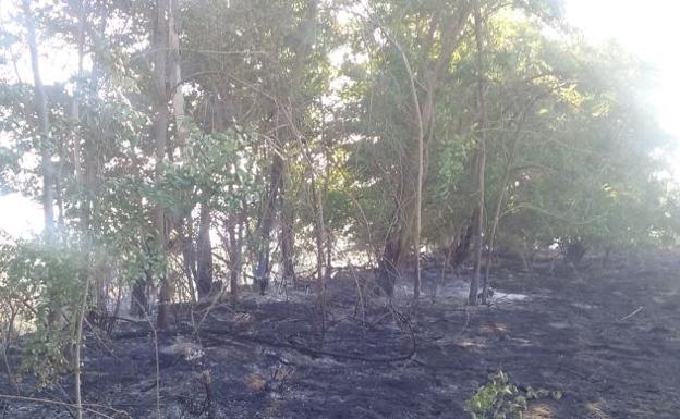 Investigan a una persona por un incendio forestal en Purullena