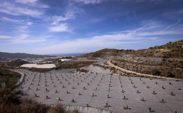 La reforma del PGOU permite a los agricultores de Motril cultivar a 400 metros de altura