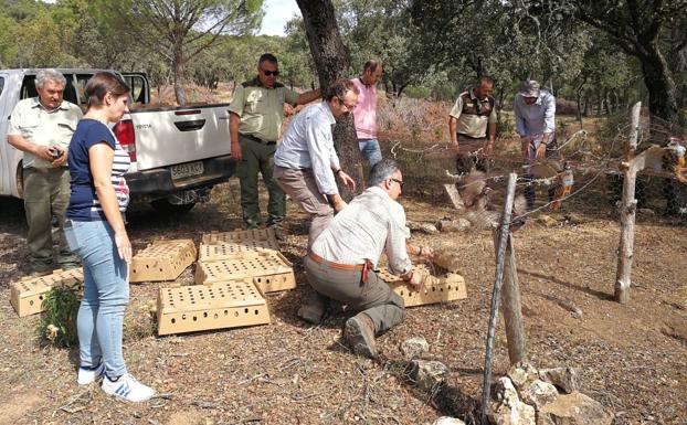 Suelta de perdices para mejorar la biodiversidad del Parque de Despeñaperros