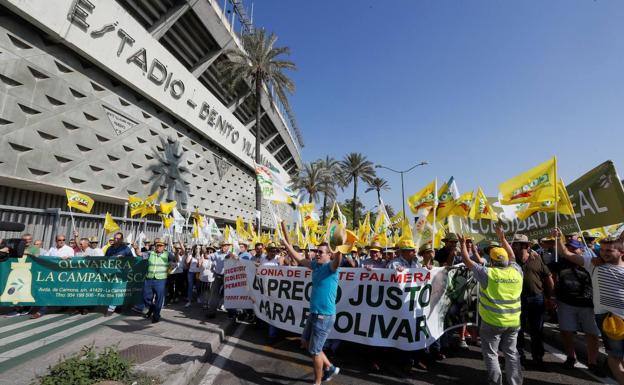 Así será la gran manifestación por el aceite de oliva en Madrid