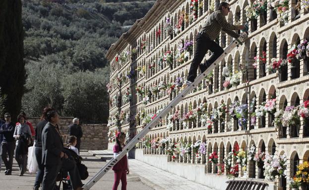 Los nuevos nichos llegarán al cementerio con el tiempo justo