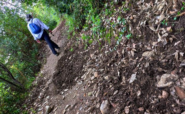 Jabalíes destrozan el sendero del Alarife entre el Avellano y la Alhambra