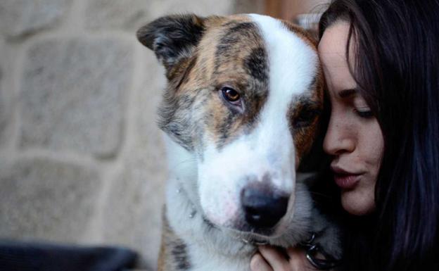 Tener un perro mejora y prolonga la vida de los humanos: la ciencia lo confirma