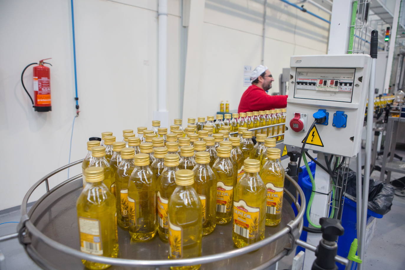 Los nuevos aranceles de Trump gravarán a partir de hoy con tres millones al aceite de Granada