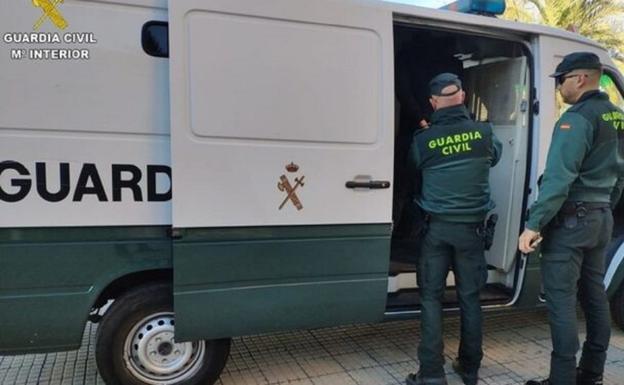 Operación 'Sunami' contra la 'maría': 22 detenidos, casi 8.000 plantas, 141 gramos de MDMA y 192.000 euros