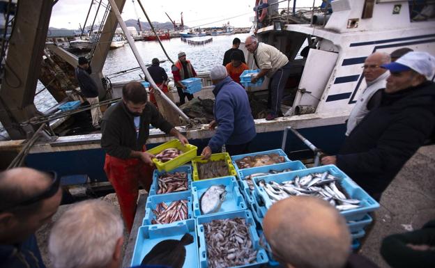 Crece la inquietud de los armadores ante la reducción de los días de pesca de arrastre