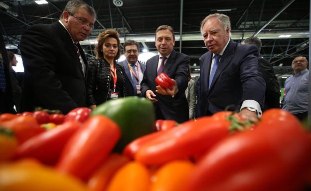 Fruit Attraction, un escaparate para más de 130 países