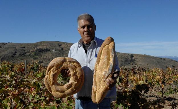 Troveros de La Alpujarra ayudan a vendimiar al célebre improvisador de versos Juan Morón