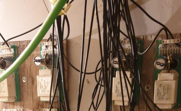 Más de mil plantas de cannabis sativa repartidas en cuatro casas de Chauchina y Cijuela