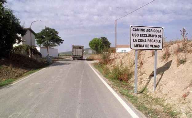 Luto oficial en Begíjar por la muerte de una vecina en la carretera