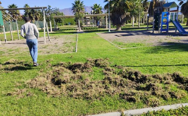 Una decena de jabalíes destroza un parque y el campo de golf de Playa Granada