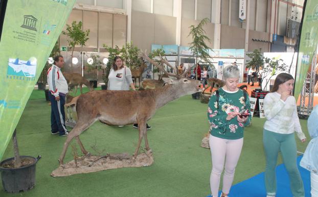 Tierra Adentro deja las imágenes más peculiares de Jaén