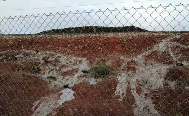 La FAC denuncia a Adif por sepultar conejos en sus madrigueras