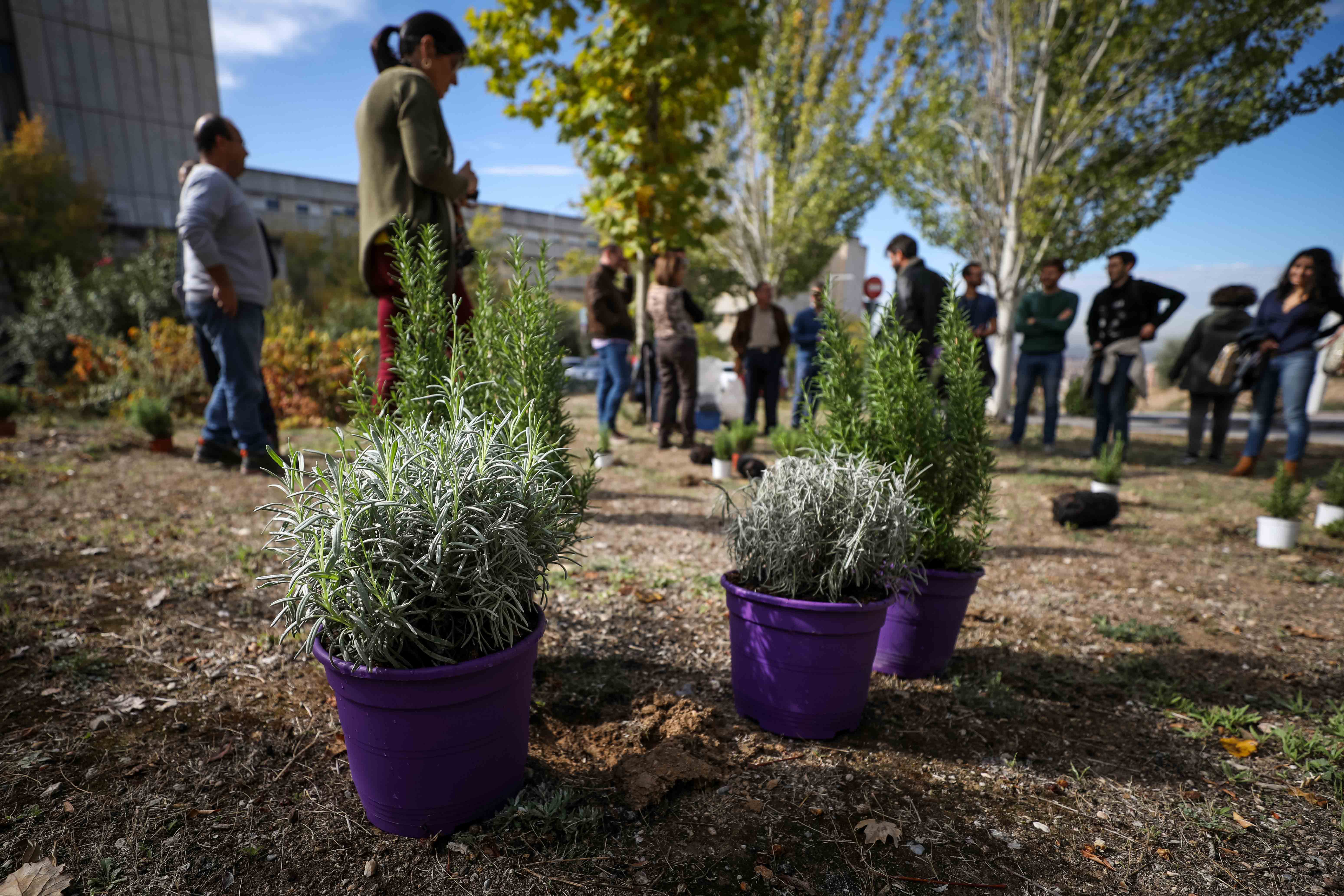 La Facultad de Farmacia planta nuevos árboles para combatir el cambio climático