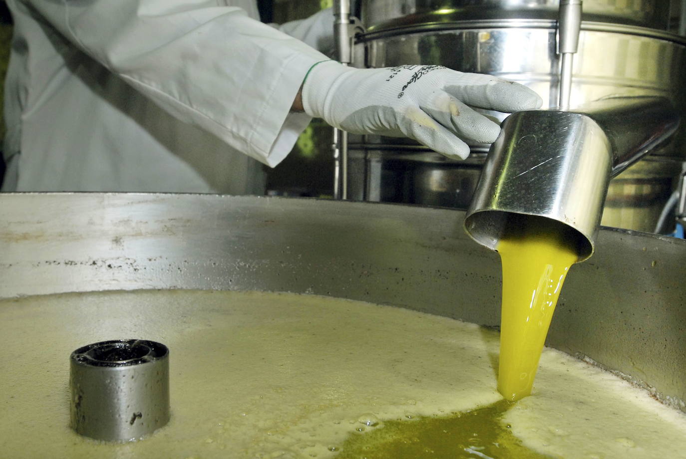 ¿Subirá el precio del aceite en origen por la reducción de cosecha?