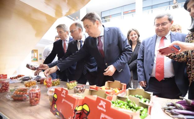 Planas espera la subida de precios del aceite en las próximas campañas