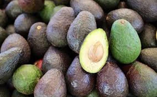 Una pareja le roba 150 kilos de aguacates al dueño de una finca en Guájar Fondón (Granada)